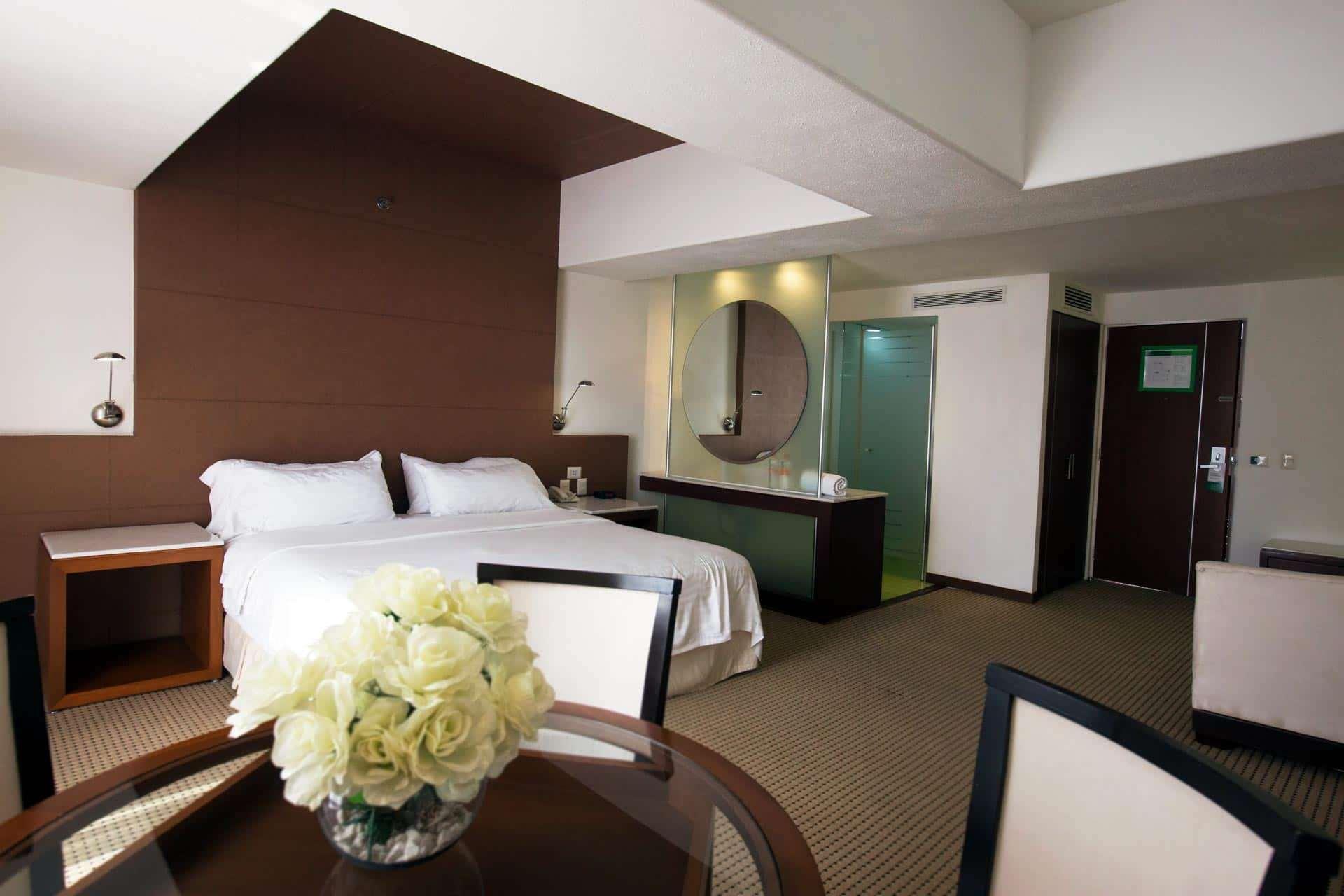 Hotel & Suites Bel Air Business Salamanca Exterior photo